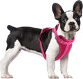 Wisedog No Pull Dog Harness, Peacock Pink, Medium | Lightweight, Adjustable Breathable Pet Vest, Soft & Comfortable Cushion, Small Medium Large Dogs by WisedogPetSupplies