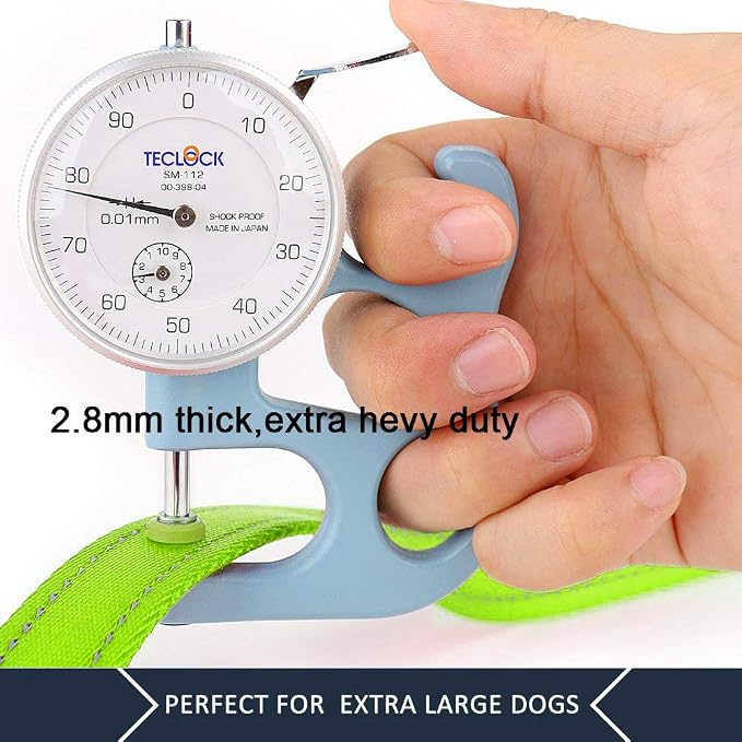 Plutus Pet Double Handle Dog Leash, 5 FT Long, for Medium Large Dogs | Reflective Nylon, Soft Padded 2 Handles, Heavy Duty for Training, Dual Handle Lead, 5 FT x 1”, Green - Image 6