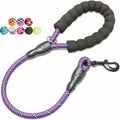 2/4/5/6 FT Dog Leash with Comfortable Padded Handle and Highly Reflective Threads for Small Medium and Large Dogs (2FT-1/2'', Purple) by BAAPET