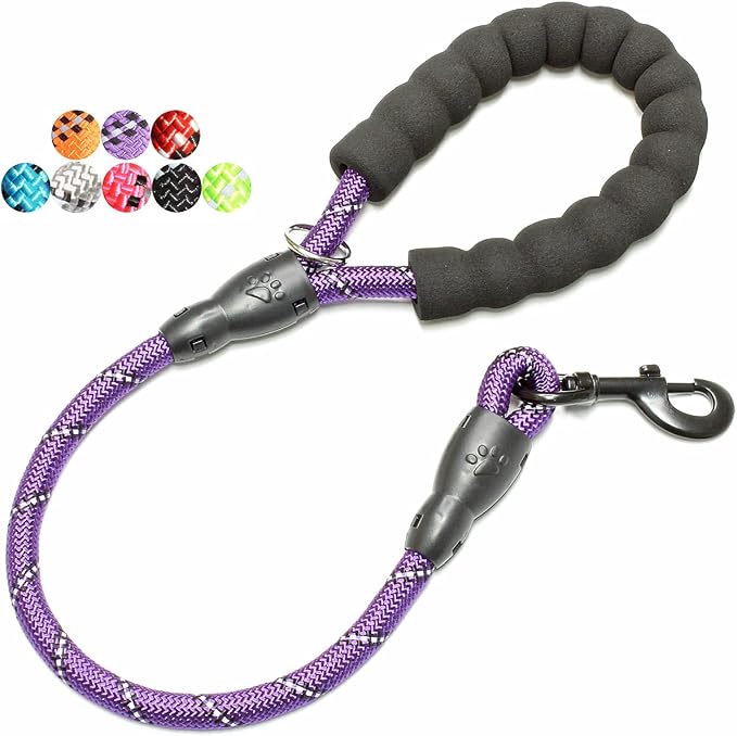 2/4/5/6 FT Dog Leash with Comfortable Padded Handle and Highly Reflective Threads for Small Medium and Large Dogs (2FT-1/2'', Purple) by BAAPET