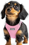 rabbitgoo Step-in Small Dog Harness, Puppy Vest for Small Sized Pet | Easy Put on and off, Lightweight, Soft, Breathable Quick-Dry Air Mesh for Comfortable Secure Walking, Light Pink & Gray XXS by rabbitgoo