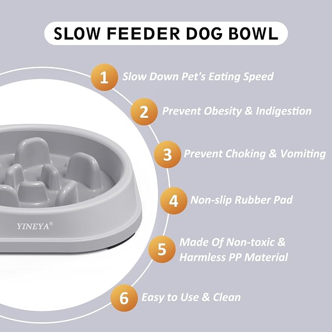 YINEYA 2PCS Anti-Choking Slow Feeder Dog Bowls Small Size Dog, Slow Feeder Cat Bowl, Supplies and Puzzle for Pet - Image 2