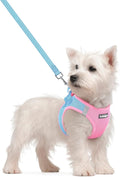 rabbitgoo Dog Harness Small Sized and Leash Set, Step-in Puppy Pet Vest | Light, Soft, Breathable Air Mesh, Easy on and Remove with Hook & Loop, Secure Reflective for Walking, Blue & Light Pink S by rabbitgoo