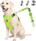 Lukovee Dog Car Harness Seat Belt, Harness & Seatbelt with 2 in 1 Buckle | Adjustable Soft Breathable Mesh Harness, Reflective Elastic Reflective Tether, for Small Medium Large Dogs Pets (Green, S) by Lukovee