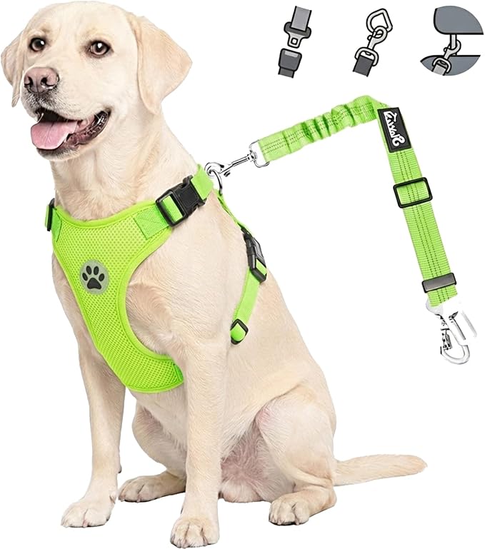 Lukovee Dog Car Harness Seat Belt, Harness & Seatbelt with 2 in 1 Buckle | Adjustable Soft Breathable Mesh Harness, Reflective Elastic Reflective Tether, for Small Medium Large Dogs Pets (Green, S) by Lukovee
