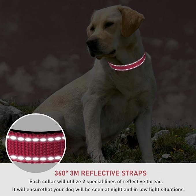 Reflective Dog Collar, Puppy Collar with Buckle Adjustable, Light Pink XL | Breathable Nylon Collars for Small Medium Large Dogs, No Chafing on Walks and Outdoor Hikes, Metal D-Ring, Night Safety - Image 4
