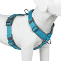 Plutus Pet No Pull Dog Harness, Adjustable Nylon Harness with Soft Padding | Reflective with Front Clip, Heavy Duty for Training and Walking, for Small Medium Large Dogs, Cyan, XL by PLUTUSPET