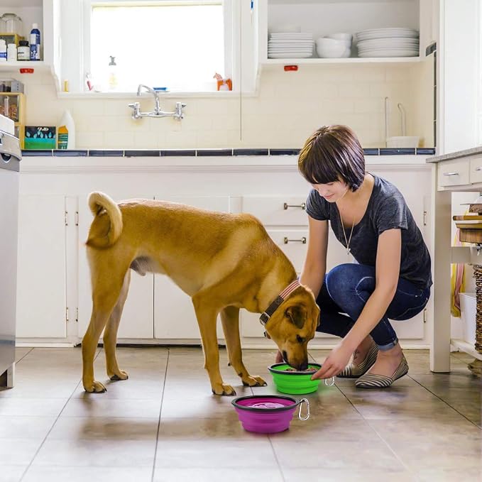 Kytely Large Collapsible Dog Bowls 2 Pack, 34oz Foldable Dog Travel Bowl, Portable Pet Water Food Bowl with Clasp, Pet Cat Feeding Cup Dish for Traveling, Walking, Hiking (Green+Purple) | Portable Dog Water Food Bowl with Clasp, Pet Cat Feeding Cup Dis... - Image 7