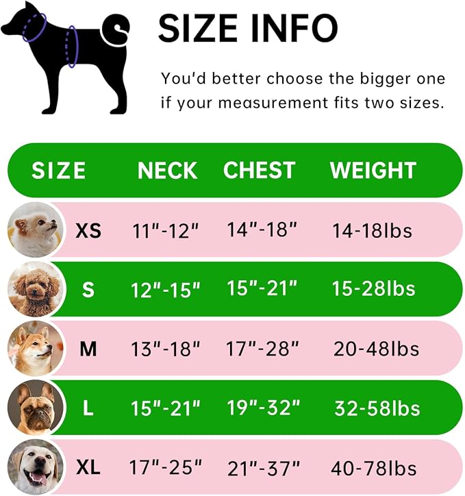 IVY&LANE No Pull Dog Harness for Large Dogs, Dog Vest Harness with Leash, Safety Belt and Storage Strap, Fully Adjustable Harness, 360° Reflective Strip, Soft Handle (Green, L) - Image 2