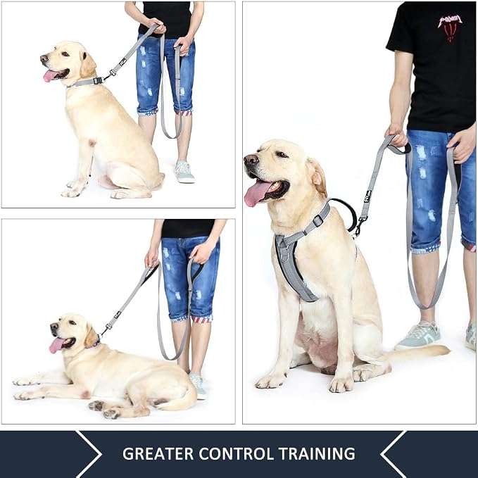 Plutus Pet Double Handle Dog Leash, 6 FT Long, for Medium Large Dogs | Reflective Nylon, Soft Padded 2 Handles, Heavy Duty for Training, Dual Handle Lead, 6 FT x 1”, Gray - Image 4
