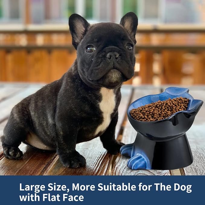 Nihow Elevated Ceramic Dog Bowls: 6.5 Inch Raised Dog Bowl for Food & Water | Food Safe Bowl for Medium/Small Size Dogs - Vivid Blue Puppy Bowls for Protecting Pet's Spine (1 PC) - Image 5