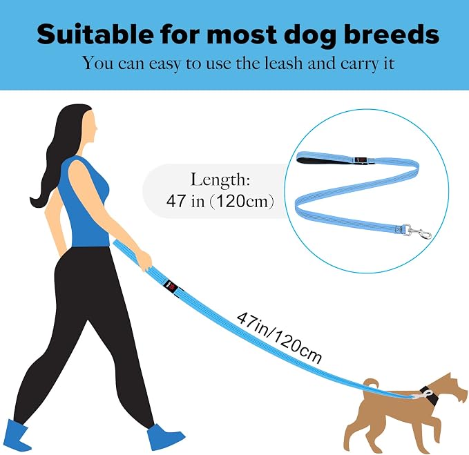 Illumifun LED Dog Leash, USB Rechargeable Glowing LED Lead, 4 FT Nylon Light Up Leashes for Dogs Wlaking at Night (BlueⅡ) - Image 7