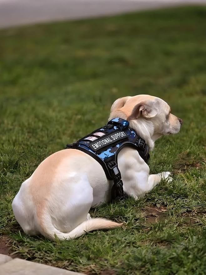 Auroth Tactical Dog Training Harness No Pulling Front Clip Leash Adhesion Reflective K9 Pet Working Vest Easy Control for Small Medium Large Dogs Blue Camo S | No Choke, Heavy Duty, Reflective, Military K9, Adjustable, Handle, Easy Control for Walking,... - Image 6