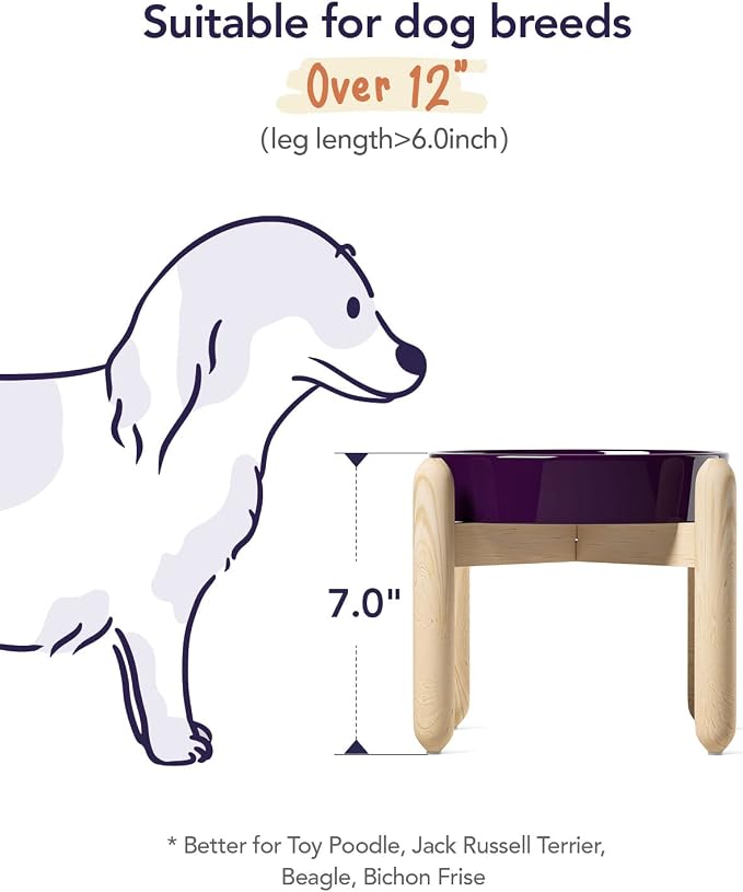 LE TAUCI Ceramic Slow Feed Dog Bowls, Elevated for Small and Medium Breed Dogs, Anti-Gulping Pet Feeding Dishes, Maze Purple, 1.5 Cups - Image 5
