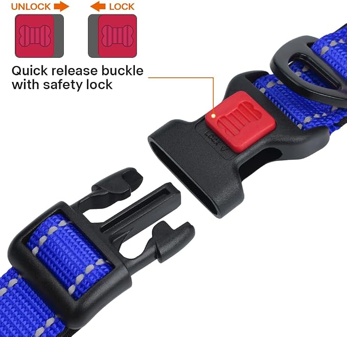 Taglory Reflective Dog Collar for Puppies, Gentle and Safe for Night Walks | Night-Walk Visibility, Soft Neck Cushioning, Adjustable 8-12 in, Locking Buckle, D-Ring for Leash and ID Tags - Image 3
