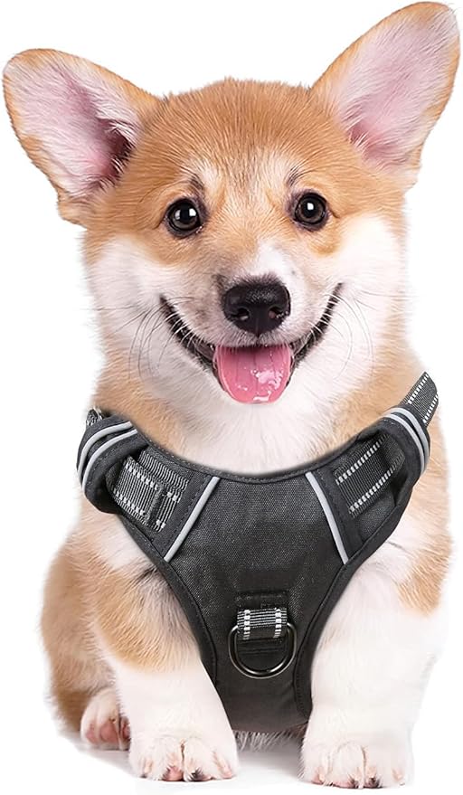 HEELE Dog Harness Dog Harness Small Dog No Pull Harness with Soft Handle Reflective Harness Adjustable, Black, XS | Reflective Front Clip Vest with Control Handle, No Choke, Adjustable 2 Metal Rings for Outdoor Walking Training by HEELE