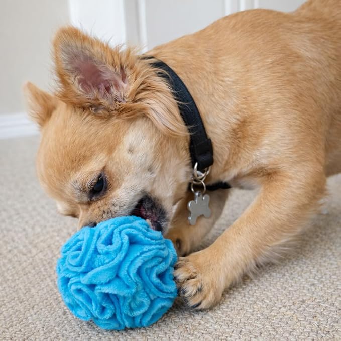 Glory To Dog Puppy/Small Breed Snuffle Dog Puzzle Ball Toy Blue Extra Small | Interactive fleece snuffleball hides treats at variable depths. Puzzle engages smell & foraging. Machine washable 2.5" - Image 5