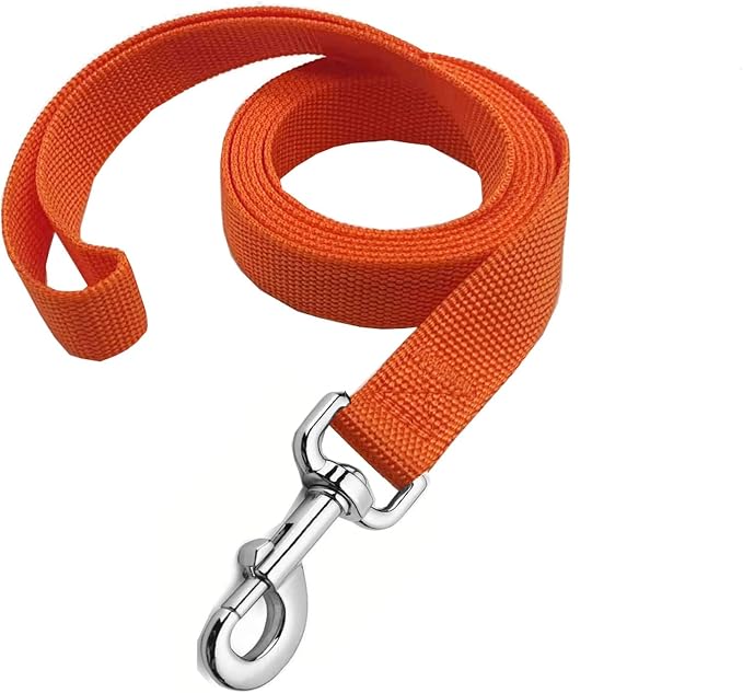 Strong Nylon Dog Leash, 4FT/ 5 FT/ 6FT Dog Leashes for Medium Large Dogs (5FT, Orange) by MANDAO