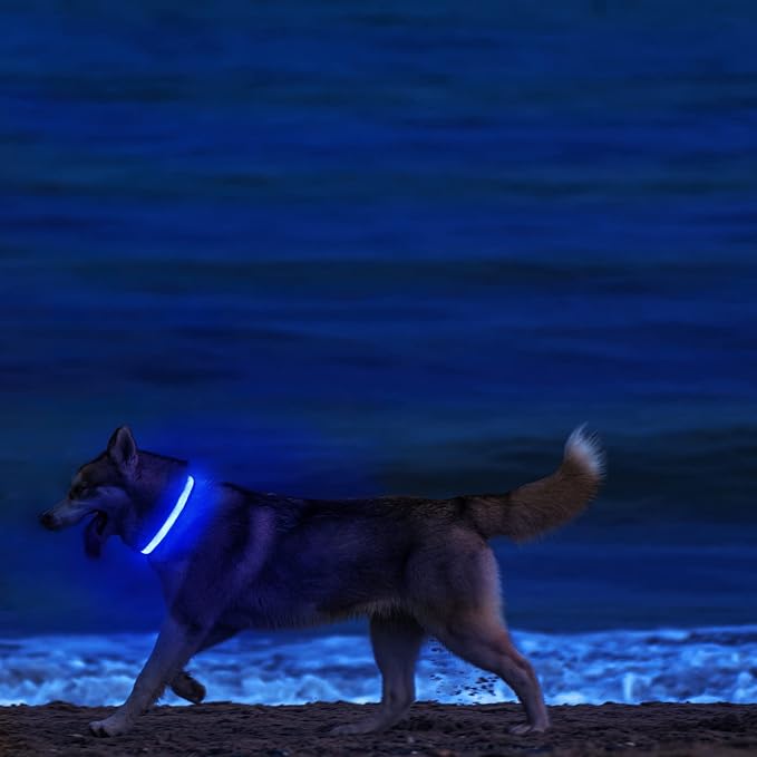 MASBRILL LED Dog Collar-Light Up Dog Collars Rechargeable Lighted Dog Collar Night Walking Glow Collar for Dogs - Image 2