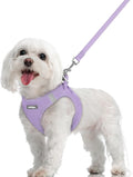 rabbitgoo Dog Harness Small Sized and Leash Set, Step-in Puppy Pet Vest | Light, Soft, Breathable Air Mesh, Easy on and Remove with Hook & Loop, Secure Reflective for Walking, Light Purple M by rabbitgoo