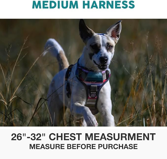 Embark No Pull Dog Harness, Reflective Adjustable Training Vest, No Choke | Adjustable straps fit all dog breeds with sturdy hooks; 360° reflective trim, soft padded Harness Design for All Dogs - Image 2
