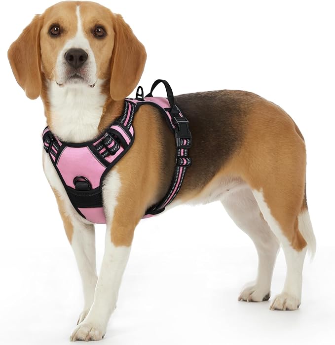 Eagloo Dog Harness for Small Dogs, No Pull Pet Vest with 2 Leash Clips | No Choke with Handle, Adjustable Comfort Fit, Reflective Strips, Easy Walking Control, Pink, Small by GoExplorewithEagloo