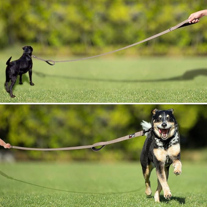 Plutus Pet Double Handle Dog Leash, 6 FT Long, for Medium Large Dogs | Reflective Nylon, Soft Padded 2 Handles, Heavy Duty for Training, Dual Handle Lead, 6 FT x 1”, Beige - Image 6
