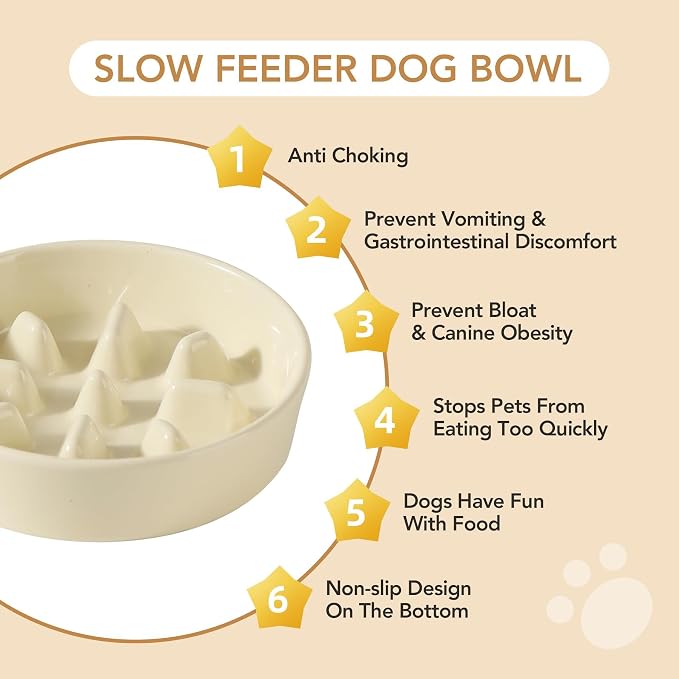 Havniva Elevated Slow Feeder Dog Bowls, Ceramic Dog Bowl Slow Feeder Set | 1.2 Cups Raised Slow Feeder Dog Bowl for Small Breed, 6.1” Dog Water Bowl with Wooden Stand, Puzzle Dog Food Bowl, Non-slip - Image 7