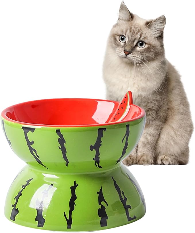Elevated Cat Bowl Ceramic Raised Cat Food Water Bowls for Indoor Kitten | 5.2In Tilted Anti Vomiting Slow Feeder Cat Dishes, Whisker Friendly, Cute Watermelon Design - Image 8