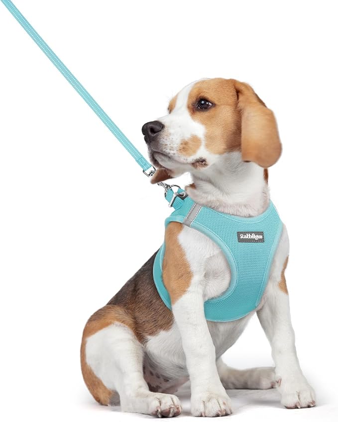 rabbitgoo Dog Harness Medium Sized and Leash Set, Step-in Puppy Pet Vest | Light, Soft, Breathable Air Mesh, Easy on and Remove with Hook & Loop, Secure Reflective for Walking, Mint Blue L by rabbitgoo