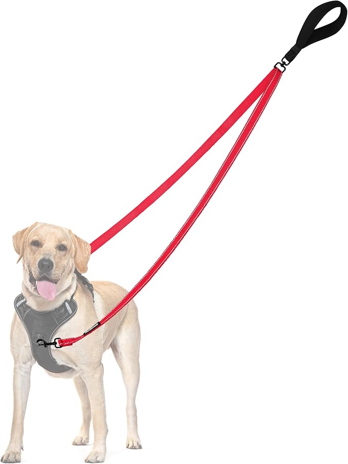 PetBonus Two Point Control Dog Leash, No Tangle Training Walking Leashes | Soft Padded Handle, Reflective, Works with No Pull Harnesses, Converts to Single Lead for Medium Large Dogs, Red by Petbonus