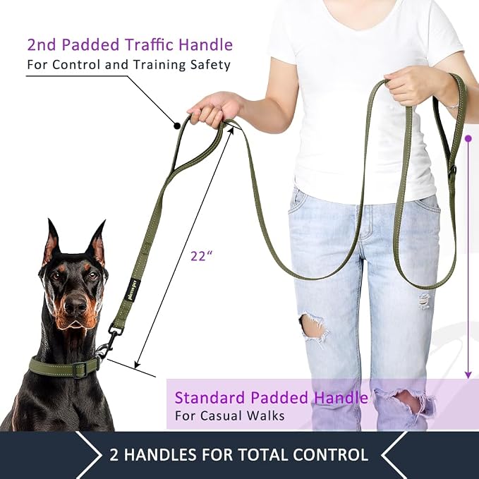 Plutus Pet Double Handle Dog Leash, 6 FT Long, for Medium Large Dogs | Reflective Nylon, Soft Padded 2 Handles, Heavy Duty for Training, Dual Handle Lead, 6 FT x 1”, Ranger Green - Image 4
