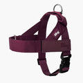 Dog Friendly Co. Dog Harness for Small Dogs (Burgundy, Small) | One Click Buckle, Chafe Resistant Webbing, Adjustable Neck & Chest, and Heavy Duty D-Ring, Sturdy Comfortable and Easy to Use by DogFriendly