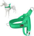 Plutus Pet No Pull Dog Harness for Puppy Small Dogs, Breathable Mesh Padded | Adjustable Reflective with Handle, Escape Proof, Quick Fit Pet Vest, Front Clip, for Training and Walking, Green, XS by PLUTUSPET