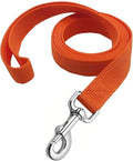 Strong Nylon Dog Leash, 4FT/ 5 FT/ 6FT Dog Leashes for Small Medium Dogs by MANDAO