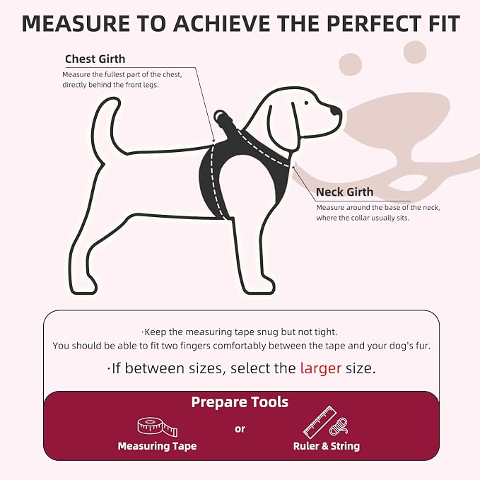 PUPTECK Dog Harness, Collar and Leash Set No Pull for Small Medium Sized | Plaid Puppy Step-in Escape Proof Reflective No Choke Pet Cat Adjustable Walking Vest - Image 2
