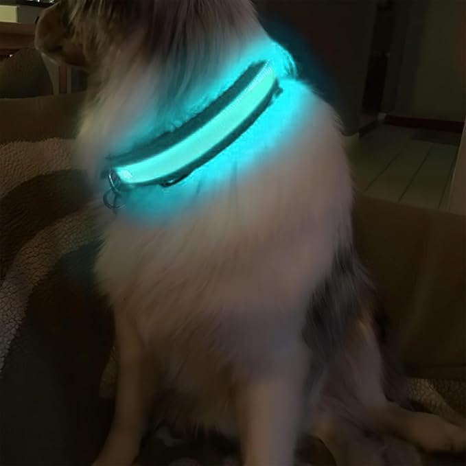 MASBRILL Light Up Dog Collars - LED Dog Collar Rechargeable Lighted Dog Collars Resistant-Water Night Walking Glow in the Dark Collars - Image 7