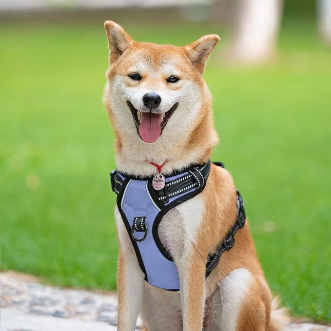 PoyPet No Pull Dog Harness Large, Reflective Vest with Front Clip & Handle | Easy On/Off, No Choke, Adjustable, 2 Leash D-rings, Soft Padded, Breathable, Oxford, for Walking Training, L, Light Blue - Image 3