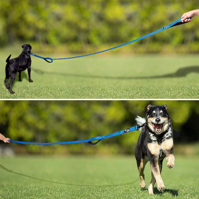 Plutus Pet Double Handle Dog Leash, 6 FT Long, for Medium Large Dogs | Reflective Nylon, Soft Padded 2 Handles, Heavy Duty for Training, Dual Handle Lead, 6 FT x 1”, Light Blue - Image 6