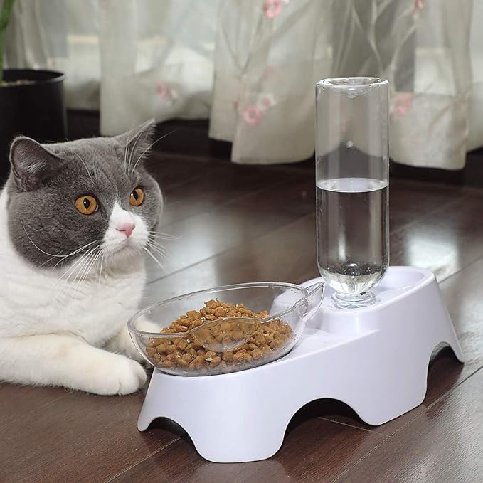 MILIFUN Double Dog Cat Bowls - Pets Water and Food Bowl Set, 15°Tilted Water and Food Bowl Set with Automatic Waterer Bottle for Small or Medium Size Dogs Cats - Image 7