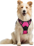 rabbitgoo Dog Harness, No Pull Medium Sized with 2 Leash Clips, Pet Vest | No Choke with Handle, Adjustable Soft Padded, Reflective, Easy Control for Walking, Hot Pink, Medium by rabbitgoo
