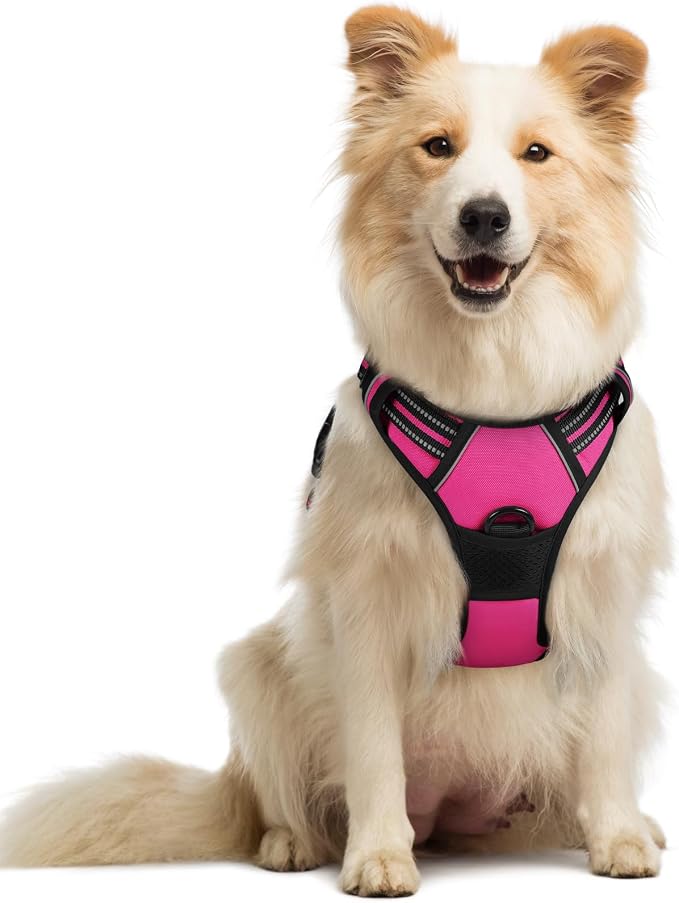 rabbitgoo Dog Harness, No Pull Medium Sized with 2 Leash Clips, Pet Vest | No Choke with Handle, Adjustable Soft Padded, Reflective, Easy Control for Walking, Hot Pink, Medium by rabbitgoo