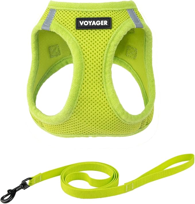 Voyager Step-in Air Cat Harness & Leash Set - Lime Green, M | 15 - 17" in Chest, Reflective Bands, All Weather Breathable Air Mesh, Cats Compatible, Fast Drying by BestPetSuppliesLLC