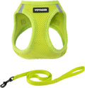 Voyager Step-in Air Cat Harness & Leash Set - Lime Green, M | 15 - 17" in Chest, Reflective Bands, All Weather Breathable Air Mesh, Cats Compatible, Fast Drying by BestPetSuppliesLLC