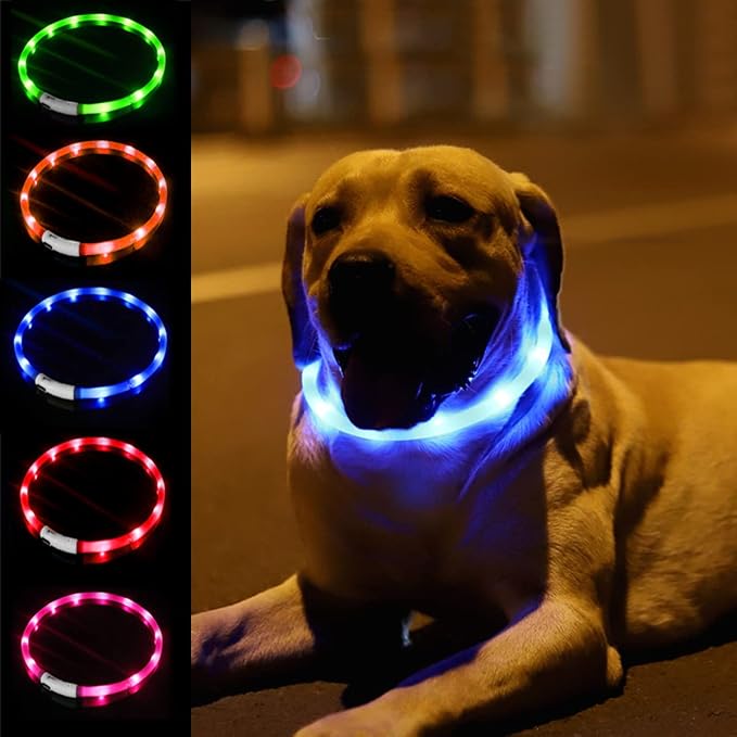 LED Dog Collar,USB Rechargeable Glowing Dog Collars, Light Up Collar Improved Pet Safety &Visibility at Night, 3 Flashing Modes,Water-Resistant Lighted Collar Fits for Small Medium Large Dogs by Fashion%26cool