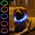 LED Dog Collar,USB Rechargeable Glowing Dog Collars, Light Up Collar Improved Pet Safety &Visibility at Night, 3 Flashing Modes,Water-Resistant Lighted Collar Fits for Small Medium Large Dogs by Fashion%26cool