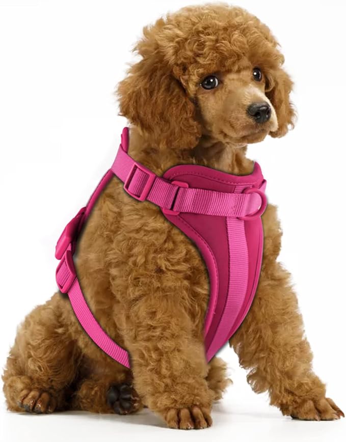 Wisedog No Pull Dog Harness, Peacock Pink, Small | Lightweight, Adjustable Breathable Pet Vest, Soft & Comfortable Cushion, Small Medium Large Dogs by WisedogPetSupplies