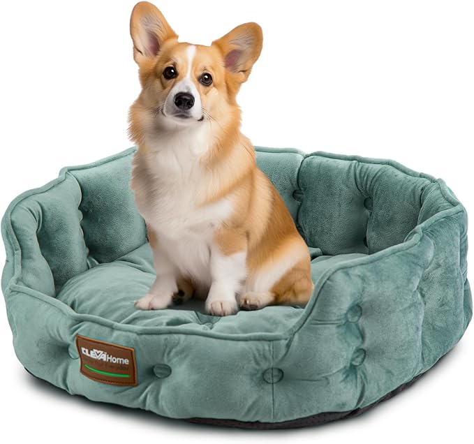 ClevaHome Cat Dog Bed for Small Pets up to 15lbs - Round Cat Beds for Indoor Cats, Machine Washable Comfortable Pet Bed for Puppy and Kitten with Non-Slip Bottom (Washed Green) - Image 7