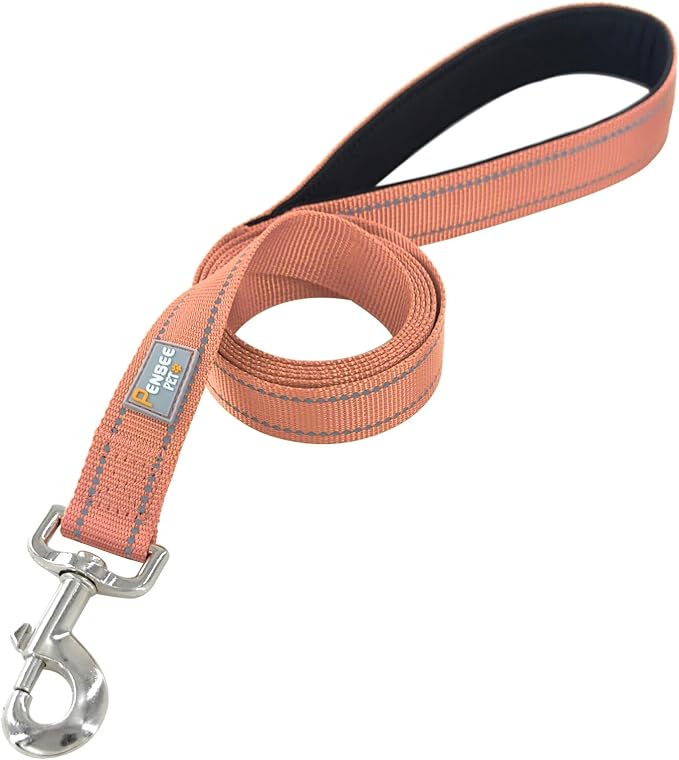 6 FT Basic Dog Leash for Small Dogs,Coral | Padded Handle,Metal D-Ring,Heavy Duty Nylon Webbing, for Walking & Training - Image 3