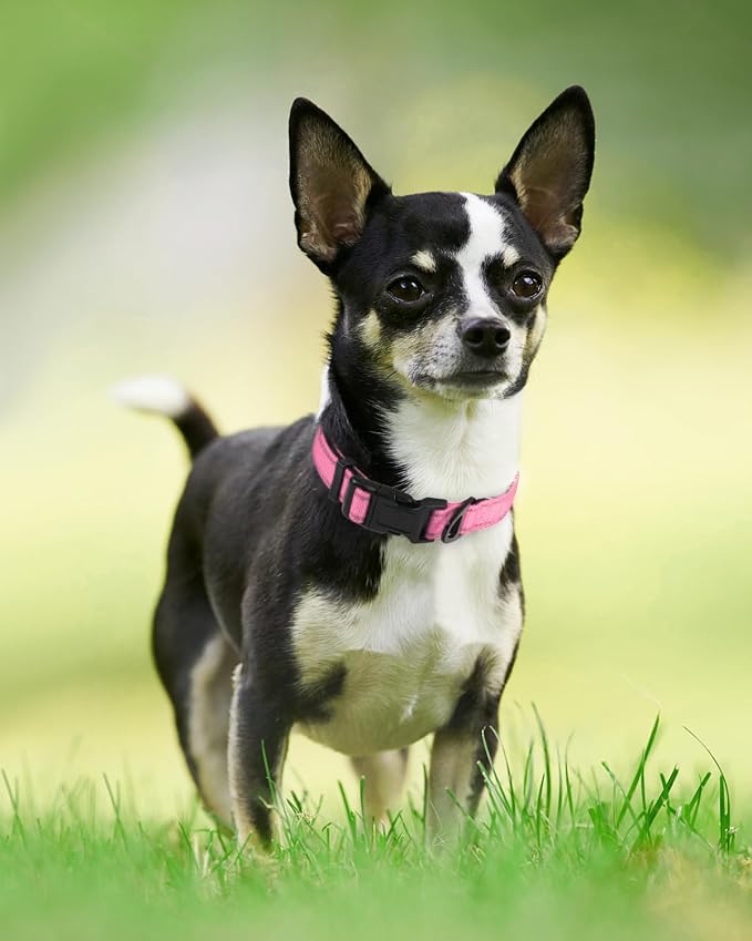 Joytale Reflective Dog Collar, Adjustable Neoprene Padded, Pink XS | Breathable Nylon for Puppies and Small Breeds, No Chafing on Walks and Indoor Training, Light Metal D-Ring, Night Safety - Image 6